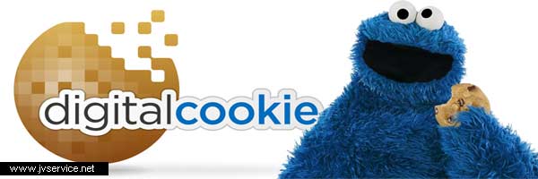 Qué son las cookies de Internet de JVS
